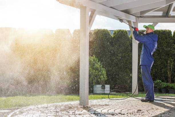 Best Dumpster Area Cleaning  in Richmond, MN