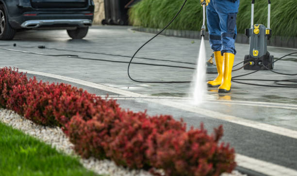 Animal Enclosure Cleaning in Richmond, MN