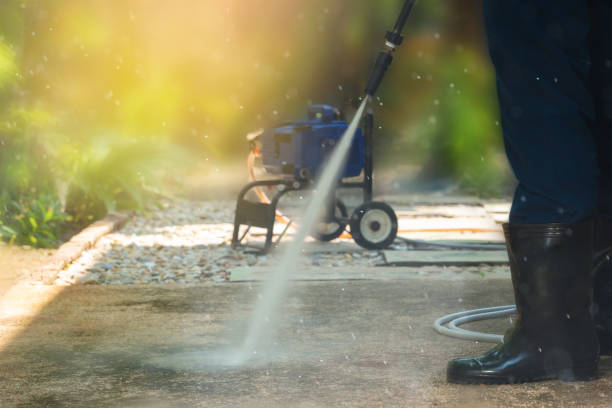 Best Soft Washing  in Richmond, MN